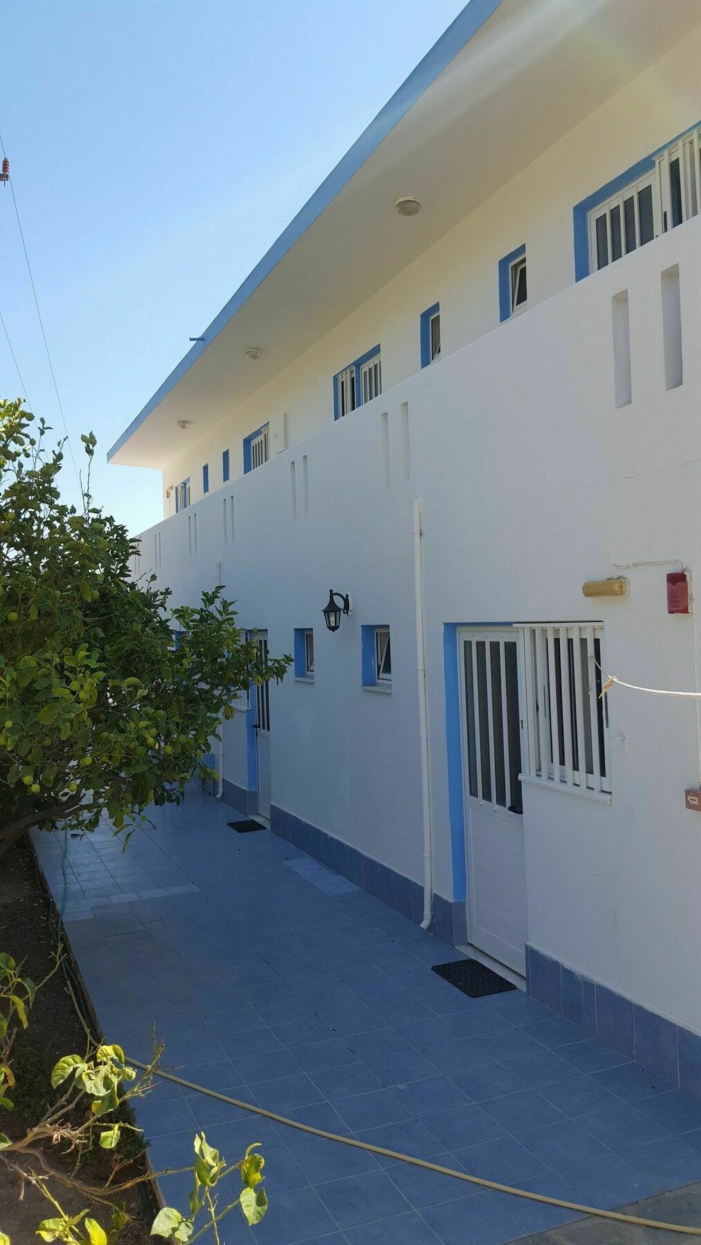 Dionysia Apartments Kéfalos Eksteriør billede